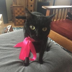 Meet your Posher, Jennifer